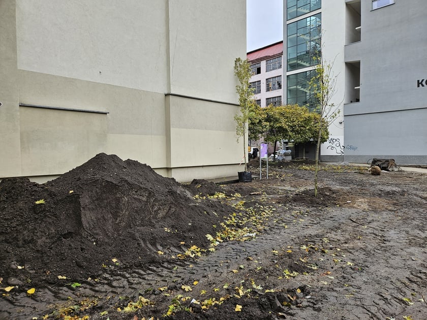 Prace przy rewitalizacji skwerku na rogu ulic Kołłątaja i Rejtana