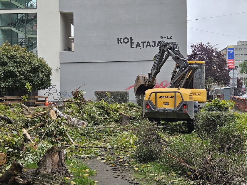 Usuwanie topoli ze skwerku  na rogu ulic Kołłątaja i Rejtana.