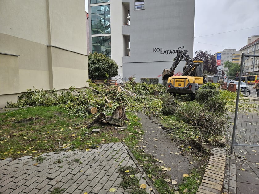 Usuwanie topoli ze skwerku  na rogu ulic Kołłątaja i Rejtana.