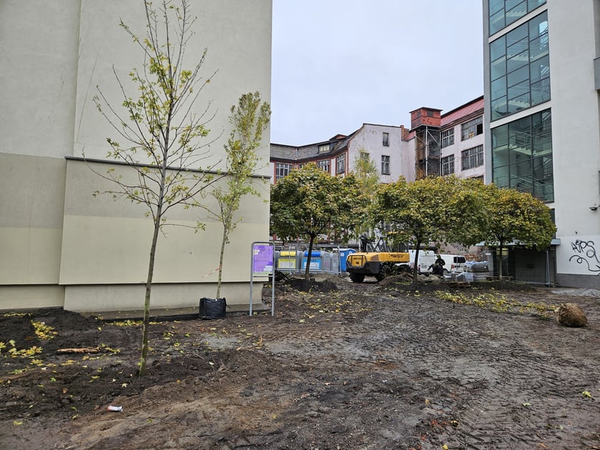 Prace przy rewitalizacji skwerku na rogu ulic Kołłątaja i Rejtana