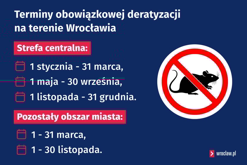 Infografika przedstawiająca terminy obowiązkowej deratyzacji na terenie Wrocławia