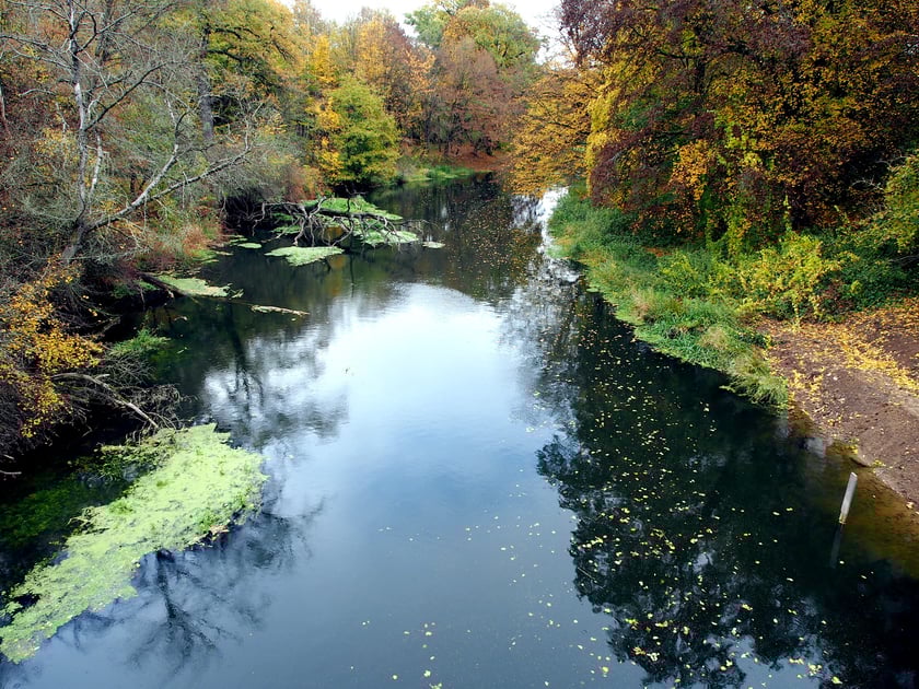Widok z kładki na Widawę