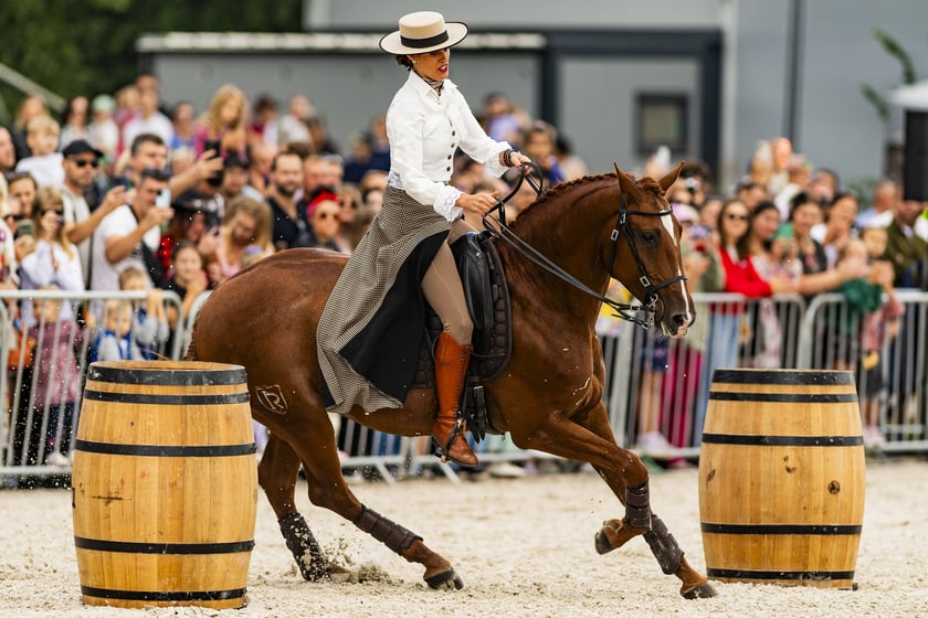Anna Skrzypek podczas pokazu Working Equitation