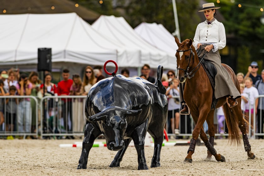 Anna Skrzypek podczas pokazu Working Equitation