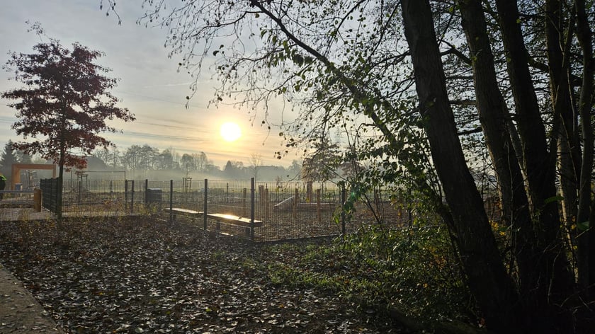 Psi wybieg w Ekoparku na Stabłowicach