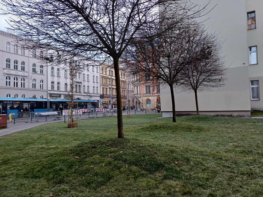 Skwerek przy Mezonetowcu na ul. Kołłątaja po renowacji i nowych nasadzeniach.