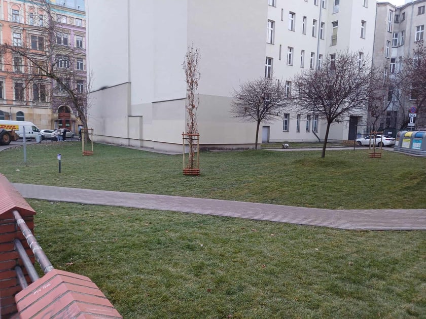 Skwerek przy Mezonetowcu na ul. Kołłątaja po renowacji i nowych nasadzeniach.