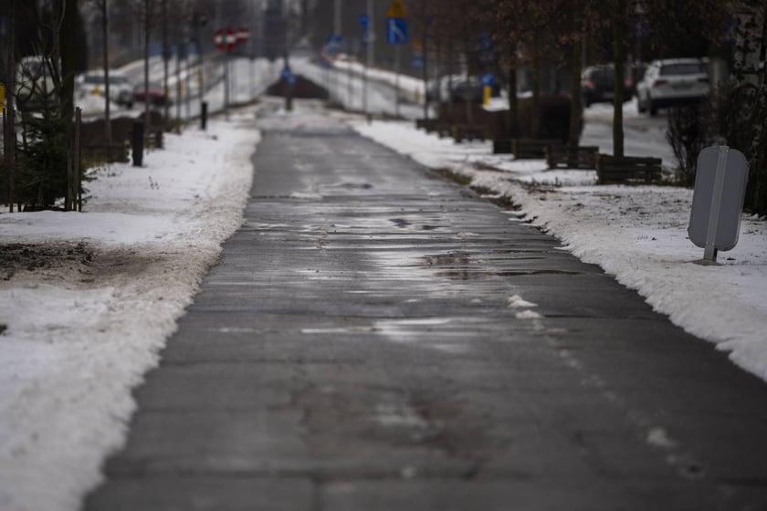 Ścieżka rowerowa na Alei Piastów na Oporowie