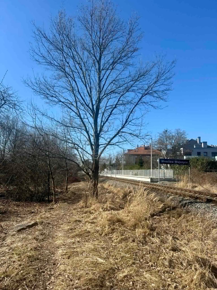 Widok na teren przy torach kolejowych w rejonie ulic Radłowej i Grota-Roweckiego, gdzie zostanie zbudowana trasa pieszo-rowerowa.