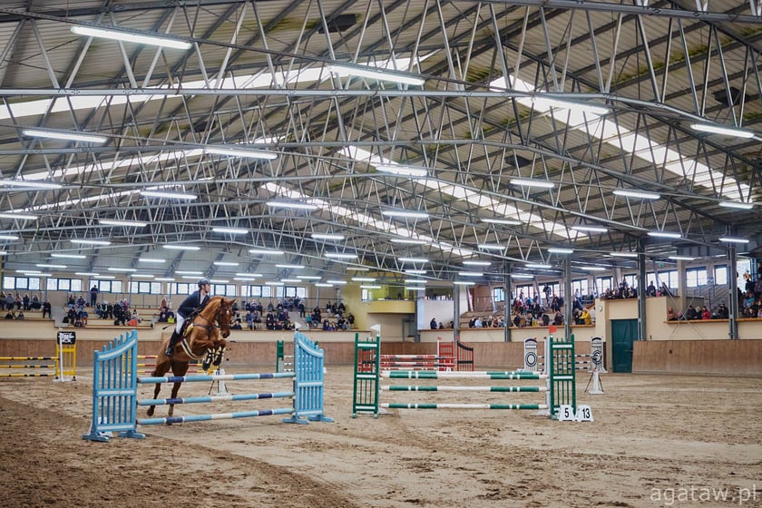 Zdjęcie przedstawiające wnętrze hali jeździeckiej z ustawionymi przeszkodami - przez jedną z nich skacze zawodniczka na kasztanowym koniu.