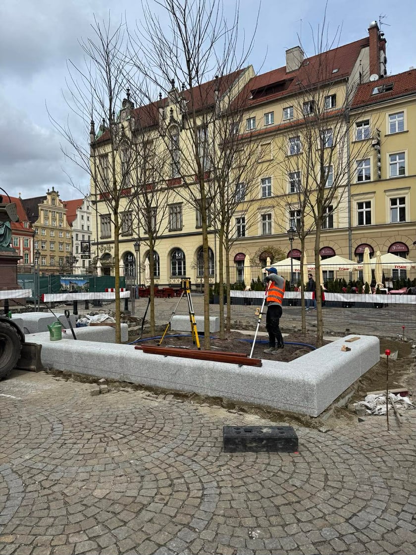 Prace przy zazielenianiu Rynku