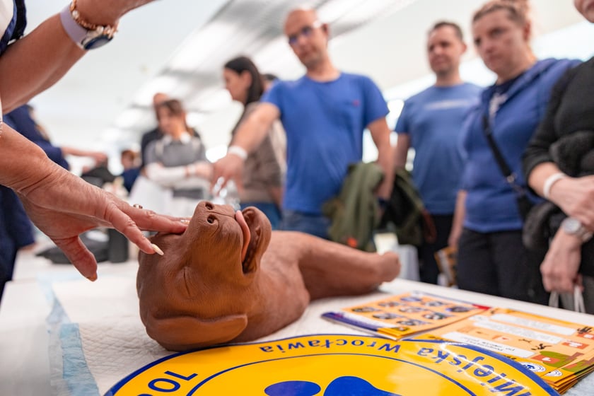 Szkolenie dla mieszkańców z programu Bezpieczny Wrocław, 7 kwietnia 2026 r.