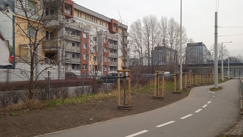 Drzewa na TAT na Nowy Dwór
