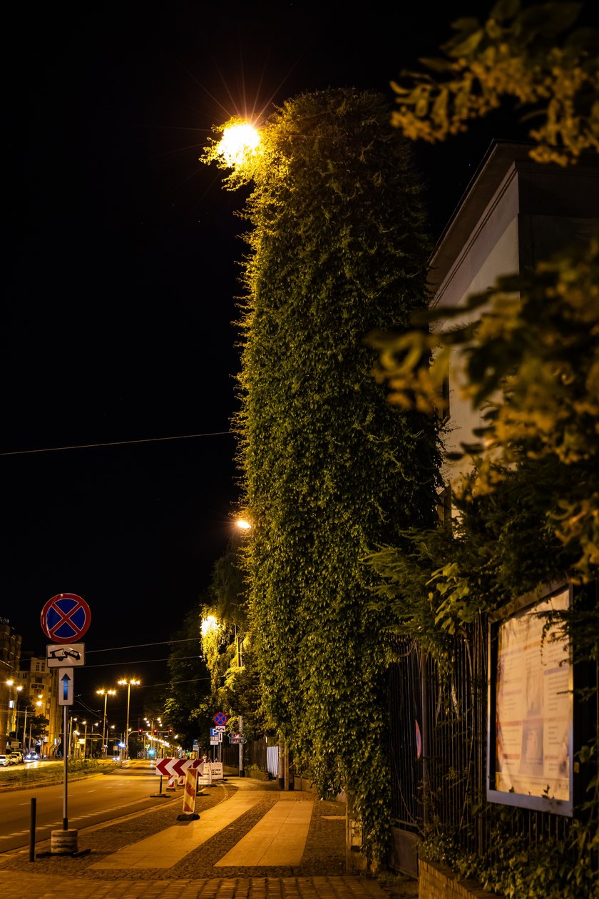 Powiększ obraz: 