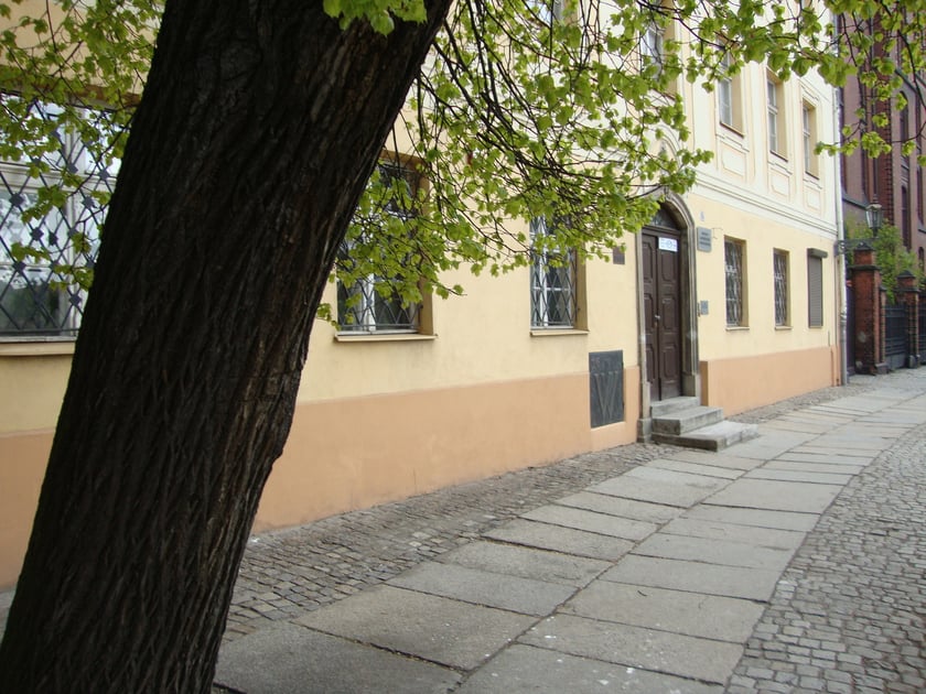 W serialu zagrało też stojące wciąż przed obecnym Muzeum Archidiecezjalnym drzewo