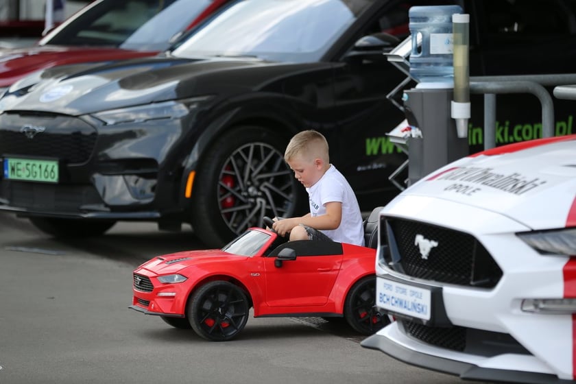 Cars mania Wrocław