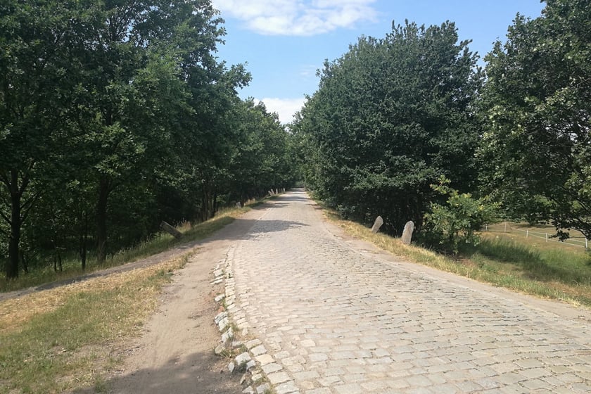 Ślęzoujście - obecny wygląd ulicy / lipiec 2022 r.