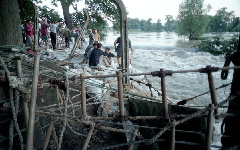 Powódź Tysiąclecia w ZOO Wrocław, lipiec 1997. Umocnienia wałów powiązane z lin i wzmocnione kratami.