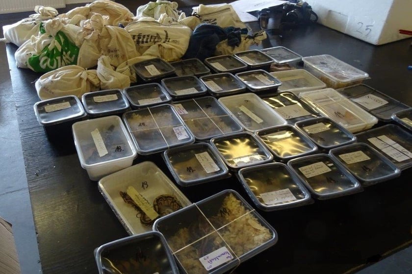 Nielegalny przewóz 166 egzotycznych gadów i płazów został udaremniony na przejściu granicznym Korczowa-Krakowiec. Żywe zwierzęta były umieszczone w czterech styropianowych pojemnikach. Spośród 166 przemycanych zwierząt, aż 116 objętych jest Konwencją Waszyngtońską CITES