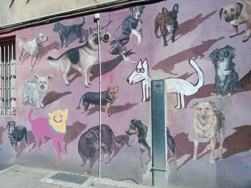 Kolorowe podwórka przy ul. Roosevelta we Wrocławiu przyciągają i turystów, i wrocławian. Murale na Nadodrzu zachwycają!