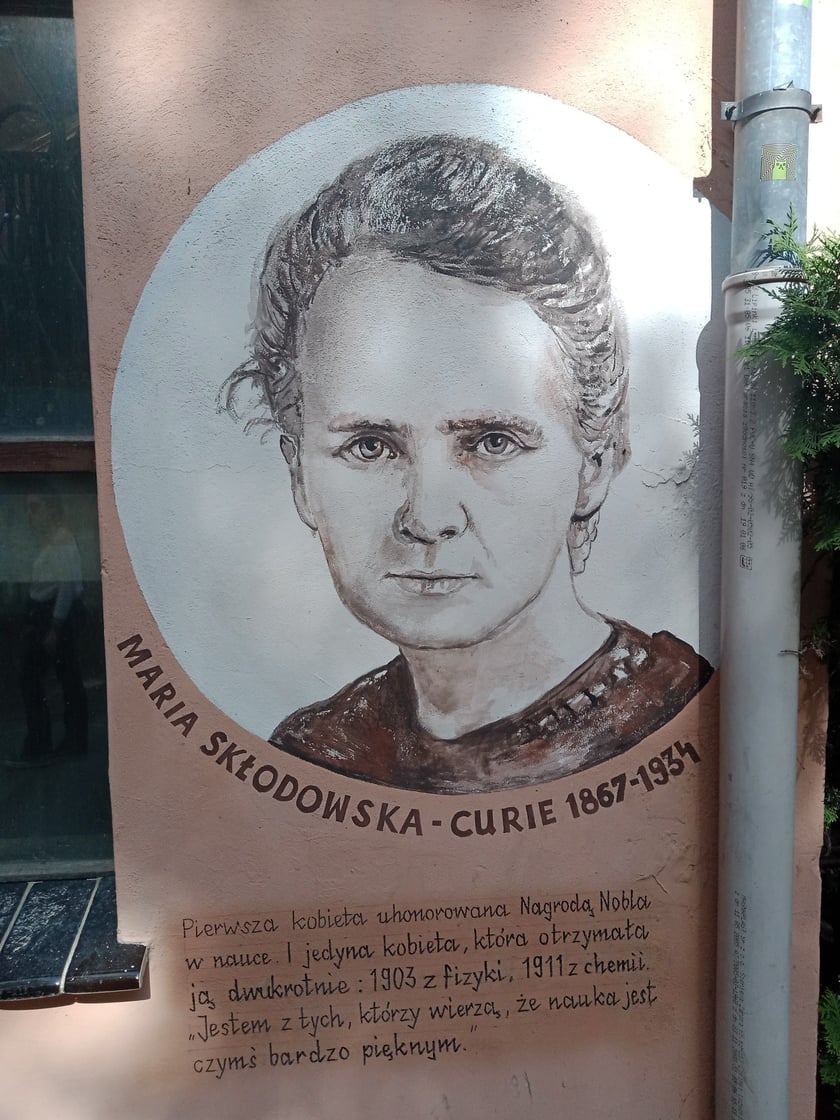 Kolorowe podwórka przy ul. Roosevelta we Wrocławiu przyciągają i turystów, i wrocławian. Murale na Nadodrzu zachwycają!