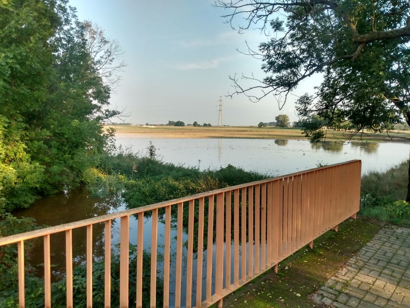 Rzeka Czarna Woda w Gniechowicach wylała się ze swojego koryta.
