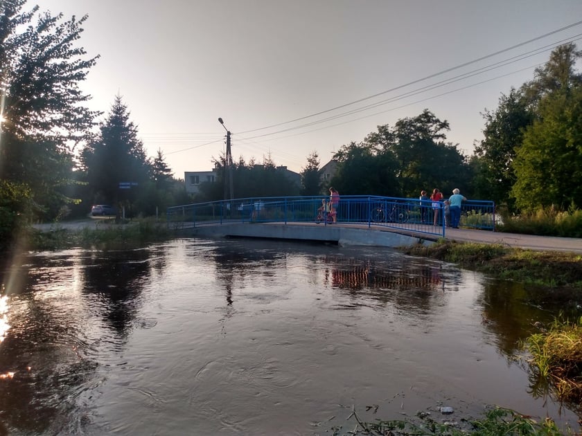 Rzeka Czarna Woda w Gniechowicach wylała się ze swojego koryta.
