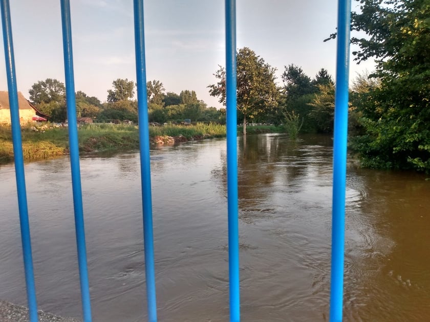 Rzeka Czarna Woda w Gniechowicach wylała się ze swojego koryta.