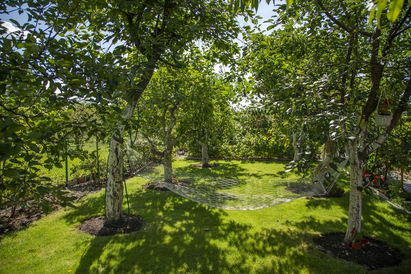 Własny ogródek działkowy to świetne miejsce do wypoczynku oraz uprawy warzyw i owoców