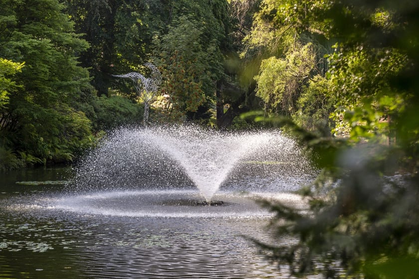W Ogrodzie Botanicznym we Wrocławiu mamy fontannę i staw