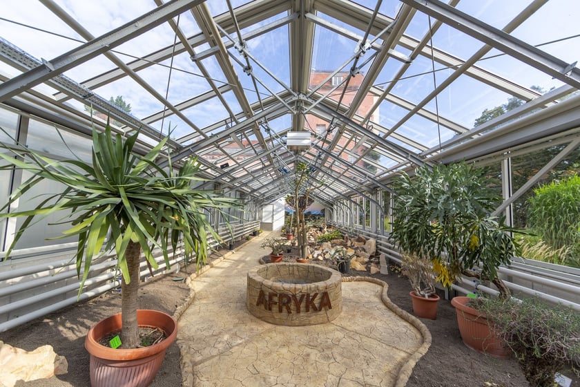 Trwa remont zabytkowych szklarni w Ogrodzie Botanicznym. Wewnątrz znajduja się już pierwsze rośliny
