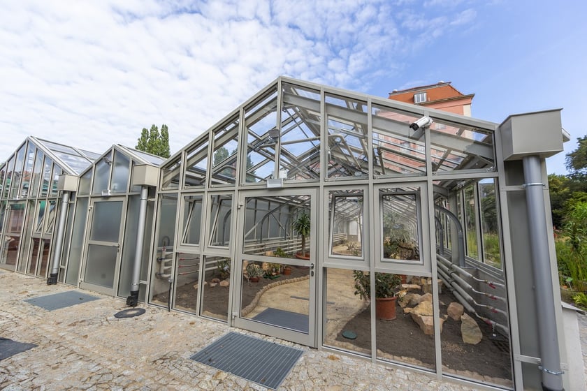 Trwa remont zabytkowych szklarni w Ogrodzie Botanicznym. Wewnątrz znajduja się już pierwsze rośliny