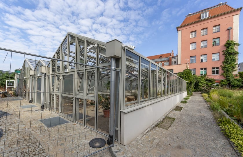 Trwa remont zabytkowych szklarni w Ogrodzie Botanicznym. Wewnątrz znajduja się już pierwsze rośliny