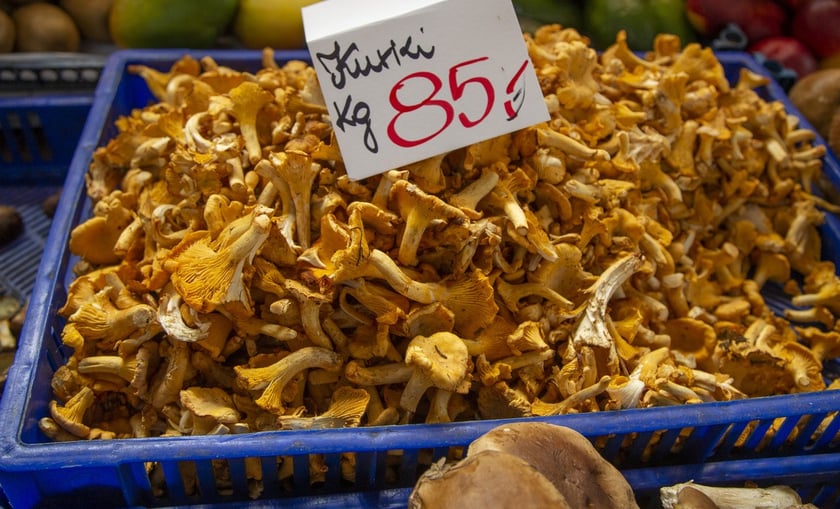 Stragany z grzybami w Hali Targowej we Wrocławiu