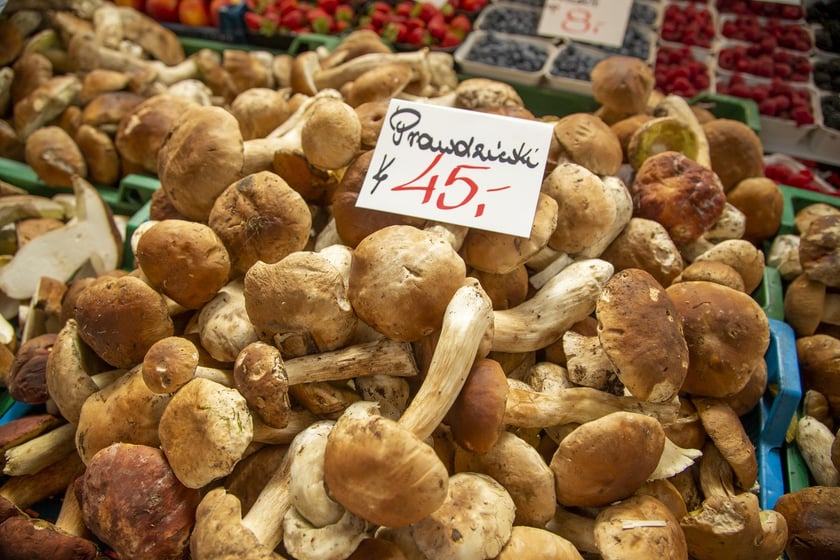 Stragany z grzybami w Hali Targowej we Wrocławiu