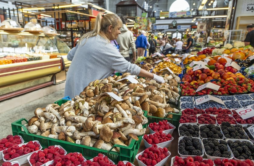 Stragany z grzybami w Hali Targowej we Wrocławiu
