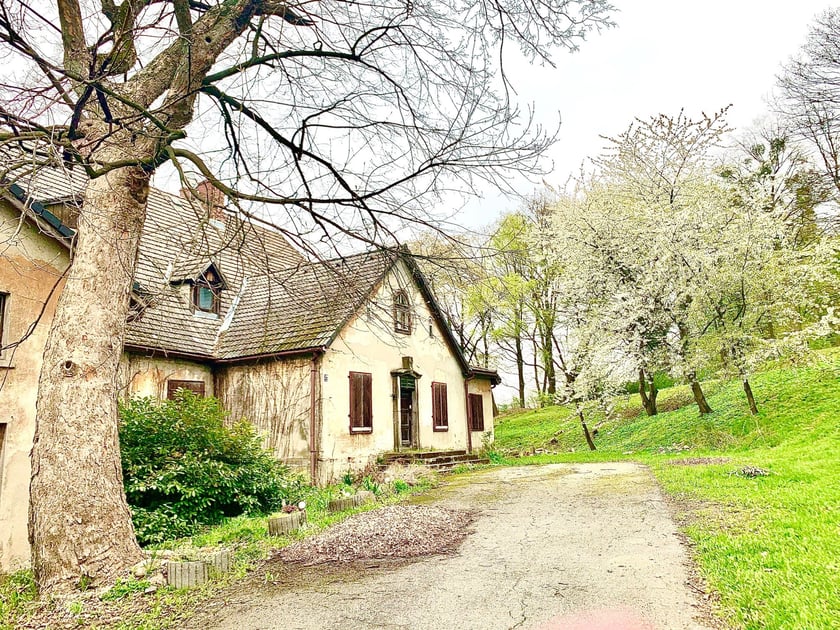 Dworek w okolicach Milicza. Cena: 1150000 zł. Dworek jest po renowacji, w dobrym stanie. Został wybudowany na początku XIX wieku. Posadowiony jest na działce o pow. ok 2ha. Otoczony parkiem ze starodrzewem.  Dworek położony jest w pięknym terenie ekologicznym pod Miliczem, w bezpośrednim sąsiedztwie parku krajobrazowego oraz stawów milickich (40 km od Wrocławia). Ponadto, w sąsiedztwie rozciągają się rozlegle tereny łowieckie.  Powierzchnia mieszkalna wynosi 535 m2 plus piwnice o powierzchni 125 m2.  Opis budynku: Część mieszkalna - reprezentacyjna: 8 pokoi, salonu z zabytkowym piecem kaflowym, kuchnia, jadalnia, salonik letni, szatnia, duży hol wejściowy ze wspaniałymi schodami. 3 łazienki z ogrzewaniem podłogowym, wanna z prysznicem.  Części służbowa: kuchnia z jadalnia, 2 pokoje, łazienka z przedpokojem, kotłownia, 2 pomieszczenia na warsztaty.  Techniczne wyposażenie obiektu to: ogrzewanie centralne z automatycznym sterowaniem ( piec z podajnikiem o mocy 65kWh na ekogroszek), nowe instalacje elektryczne z siłą, nowe instalacje sanitarne, własna oczyszczalnia ścieków, własne zaopatrzenie wody z filtrami i hydroforem, najnowocześniejszy system alarmowy z bezpośrednim podłączeniem do policji. Oferta WGN Nieruchomości