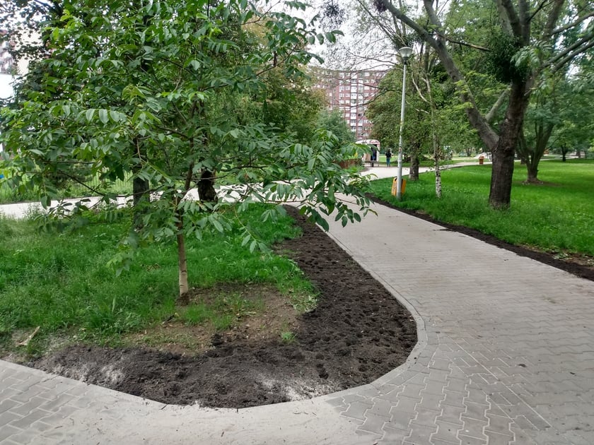 Ładnie prezentują się chodniki z nową kostką w okolicach ul. Żmigrodzkiej.