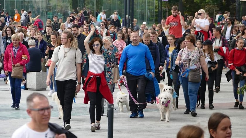 Parada Psów Wrocławskich