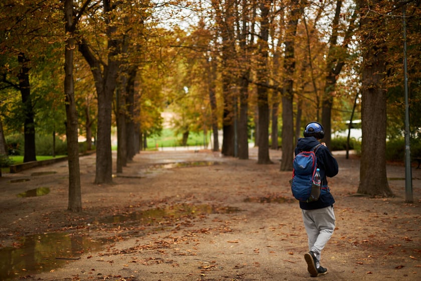 Jesień we wrocławskich parkach i na ulicach w 2022 roku