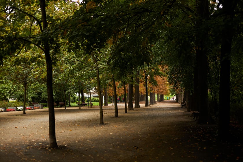 Jesień we wrocławskich parkach i na ulicach w 2022 roku