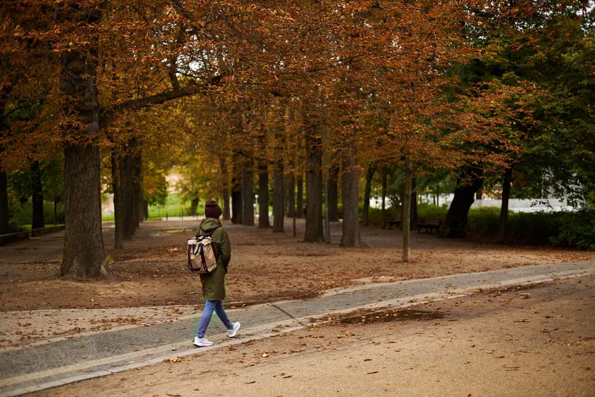 Jesień we wrocławskich parkach i na ulicach w 2022 roku