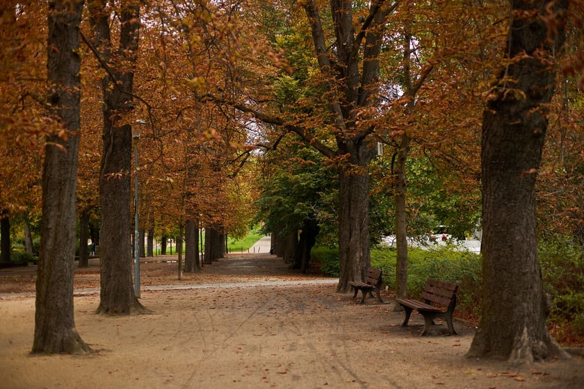 Jesień we wrocławskich parkach i na ulicach w 2022 roku