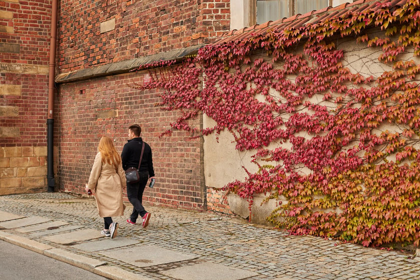 Jesień we wrocławskich parkach i na ulicach w 2022 roku