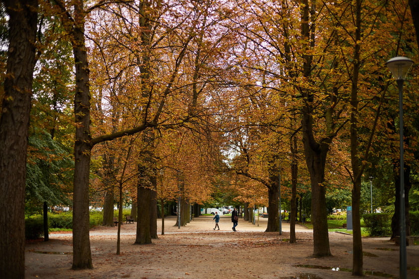 Jesień we wrocławskich parkach i na ulicach w 2022 roku