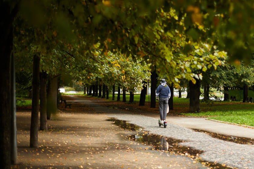 Jesień we wrocławskich parkach i na ulicach w 2022 roku