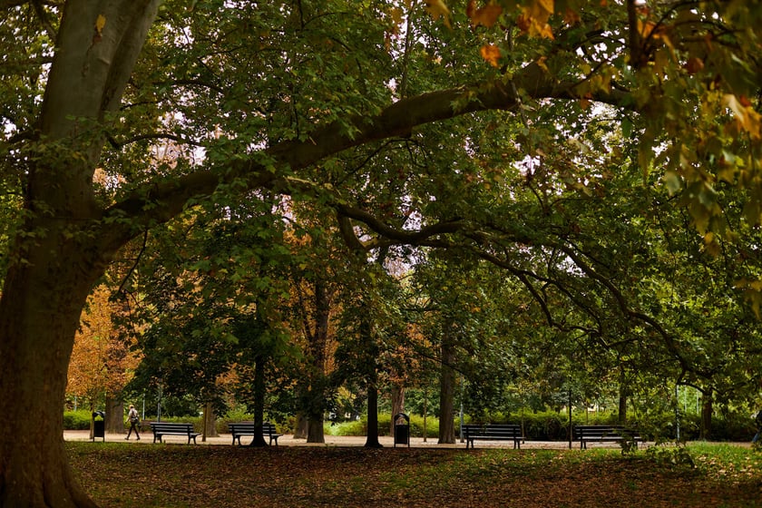 Jesień we wrocławskich parkach i na ulicach w 2022 roku