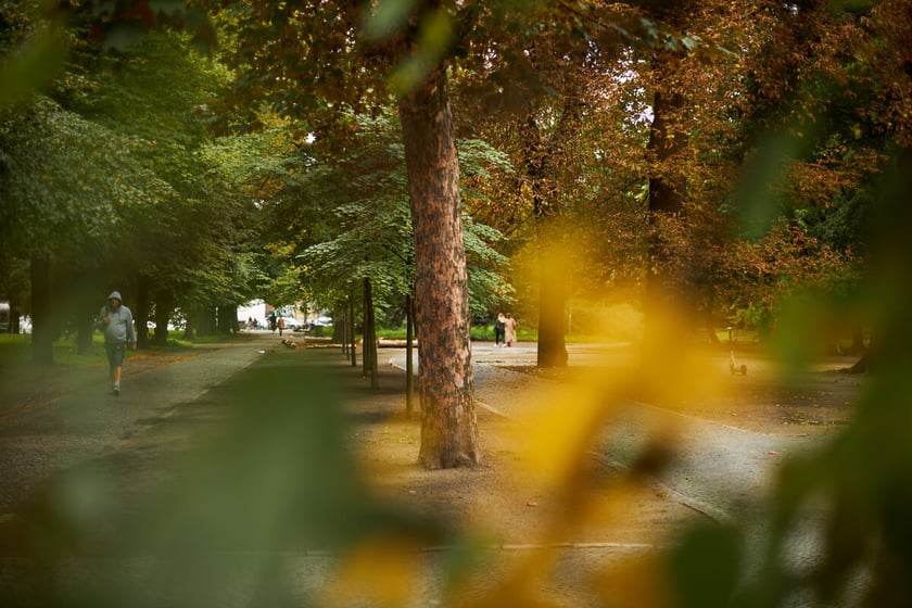 Jesień we wrocławskich parkach i na ulicach w 2022 roku