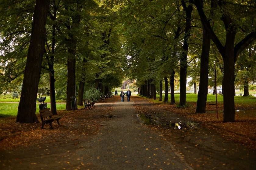 Jesień we wrocławskich parkach i na ulicach w 2022 roku