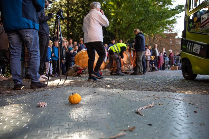 Dolnośląski Festiwal Dyni